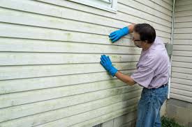 Trusted Belleair Bluffs, FL Siding Experts